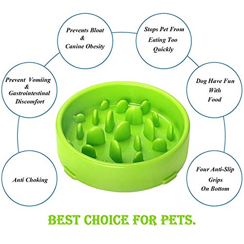 [Australia] - Kismaple Dog Slow Eating Feeder Bowl, Fun Foraging Anti Choking Anti Gobble Anti-Choke Interactive Feeding Slow Eating Bowls Non-Slip Green 