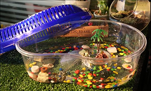 OMEM Portable Reptile House Terrarium Habitat Clear and Breathable Small - PawsPlanet Australia