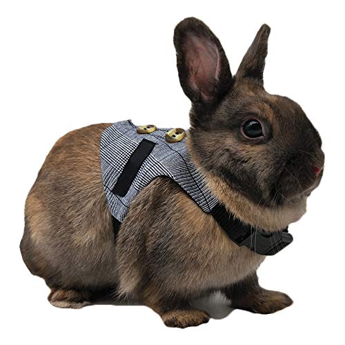 Rabbit Vest Harness and Leash Set Lead Adjustable Suit for Pet Bunny Kitten Chinchilla Guinea Pig Ferret Squirrel Small Animal Walking Toy S - PawsPlanet Australia