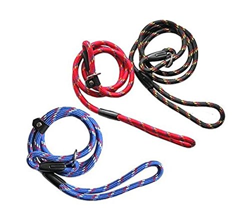 erioctry Pet Dog Nylon Adjustable Loop Slip Traning Leash Lead Rope Slip Dog Leash and Collar 1.2m Red - PawsPlanet Australia