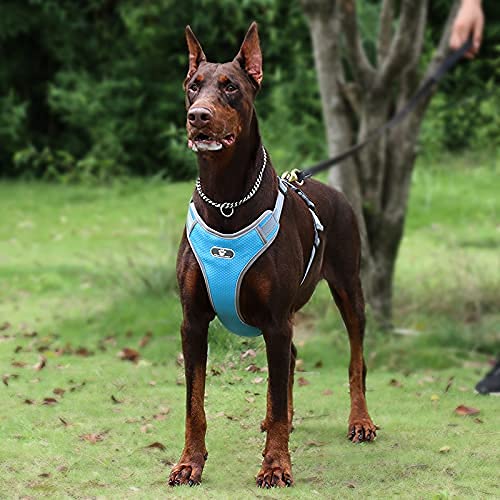 Dog Harness with Dog Leash, No Pull Pet Vest Harness, Adjustable Reflective Soft Padded Over Head Pet Harness with Easy Control Handle for Small Medium Large Dogs S(Neck 11-13 in/Chest 15-19 in) Blue - PawsPlanet Australia