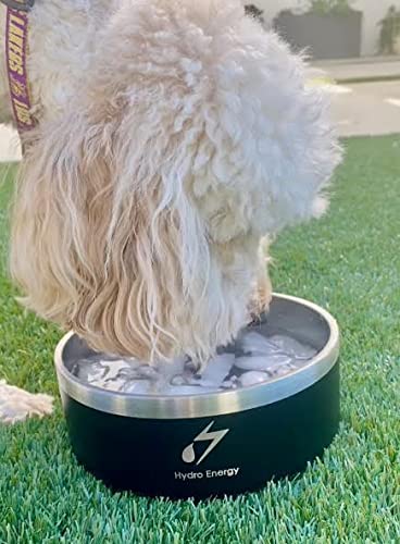 Hydro Energy Stainless Steel Dog Bowl, Non-Slip Bottom, Holds 4 Cups of Water or Food, for Dogs or Cats 32oz Black - PawsPlanet Australia