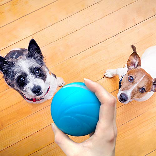 Cheerble Dog Ball Toy Interactive & Automatic Ball, Self-Propelling Ball for Dogs, 3 Interactive Motions Smart Robotic Indoor Pet Toy, USB Rechargeable Toy for Small Medium Large Dogs (Not for Aggressive Chewers), Stimulate Your Pet's Instinct Blue - PawsPlanet Australia