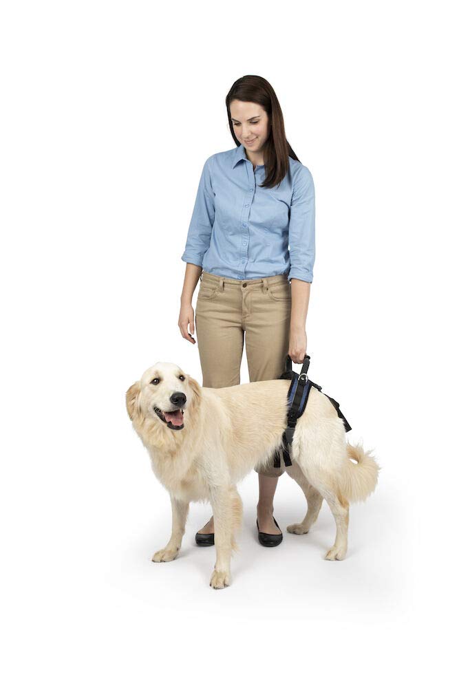 [Australia] - PetSafe Solvit CareLift Lifting Aid Harness for Dogs - Rear Only - Small, Medium, Large 