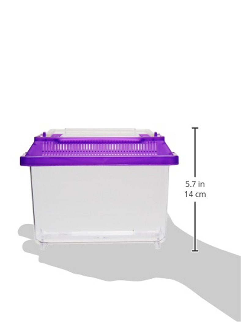 Lee's Kritter Keeper, Mini Rectangle w/Lid ( Colors May Vary ) - PawsPlanet Australia