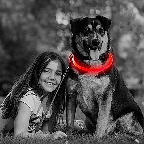 Edary LED Dog Collar with USB Rechargeable Glowing Pet Night Safety Collar Cuttable Reflective Light up Collars for Small Medium Large Dogs (Red) Red - PawsPlanet Australia