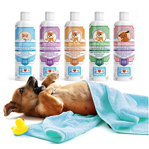 [Australia] - Pawtitas Dog Shampoo and Conditioner Handcrafted with Certified Organic Ingredients Hypoallergenic Pet Natural Shampoo Gentle on Your Puppy The Best Wash for Short and Long Coat 16 oz Bottle Orange Blossom & Bergamot 