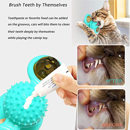 [Australia] - XURLEQ Cat Toys Interactive Chew Toys for Indoor Cats Ball Kitten Cat Catnip Toy Toothbrush Cats Scratching Tickle Toy with Catnip 