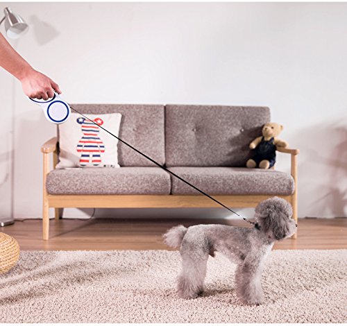 [Australia] - IPETTY Retractable Dog Leash, Backyard Use and Walking Dogs - Easy to Grip Handle - Pet Training Coffee 