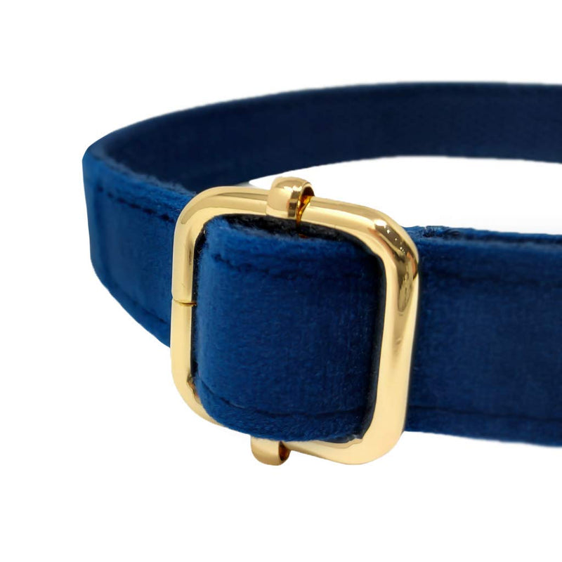 Animal Outfitters UK Velvet Collection Vegan | Blue and Gold Dog | Puppy Collar | Adjustable for Small or Large Dogs (Medium) Medium - PawsPlanet Australia