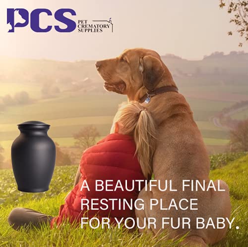 PCS Memorial Pet Cremation Urns for Dogs Ashes, Dog Keepsake Urns for Ashes, Cat Metal Urn S(0-45lbs) Black - PawsPlanet Australia