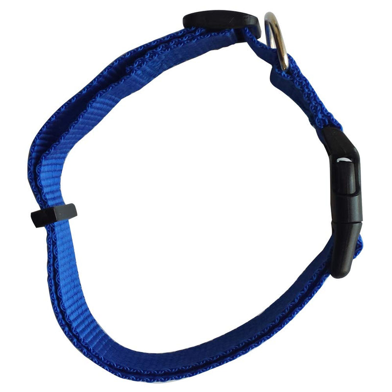 Schone Products (UK) 2pc – Nylon Dog Lead and Collar Set – BRIGHT COLOURS FOR NIGHT WALKING (Blue) Blue - PawsPlanet Australia