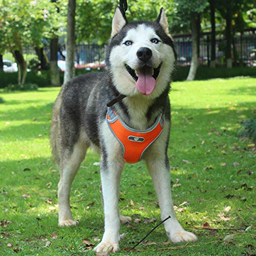 [Australia] - Z ZHIZU Dog Harness No Pull Dog Harness Adjustable Outdoor Dog Vest Soft Dog Harness Front for Dogs Easy Control for Small Medium Large Dogs S Dark Blue 