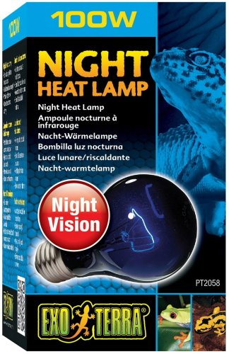 Exo Terra Night Heat Lamp, 100 W - PawsPlanet Australia