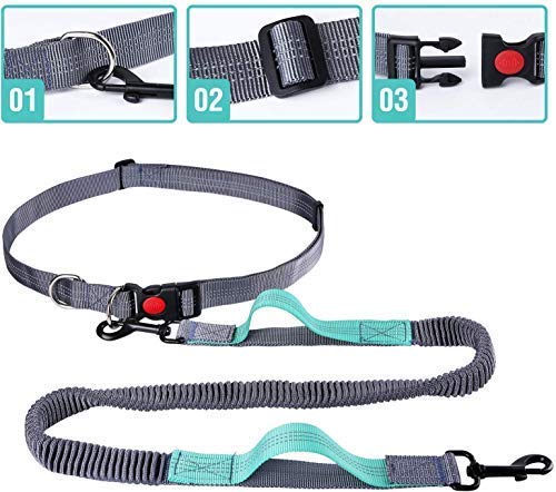 BIGLUFU Hand Free Dog Lead, Dog Walking Belt Adjustable Dog Leash Waist Belt Pet Dog Leash Couple Running and Jogging Lead Belt, Reflective Stitching for Medium to Small Dogs(Green) Green - PawsPlanet Australia