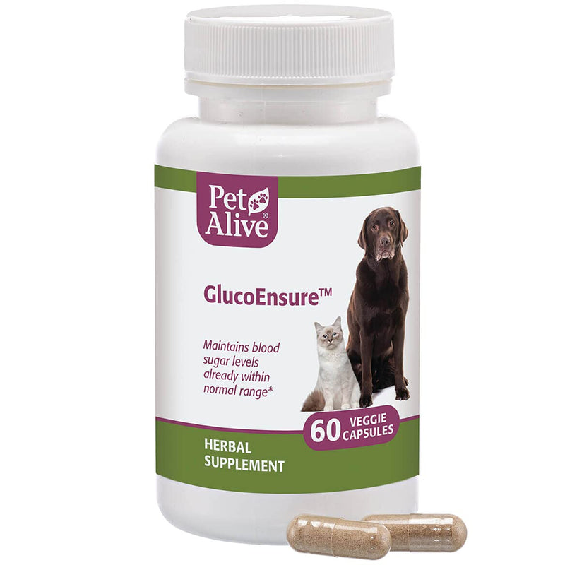 PetAlive GlucoEnsure - All Natural Herbal Supplement for Maintaining Blood Sugar (Glucose) Levels Already in The Normal Range in Pets - 59 mL - PawsPlanet Australia