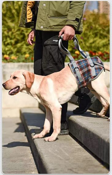 XTrador entry and carrying aid for dogs especially for hip problems for injured, older or musculoskeletal dogs (XL) XL - PawsPlanet Australia