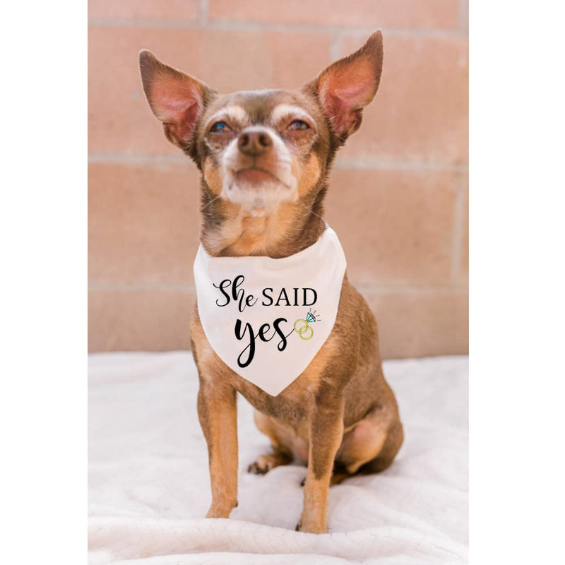 My Humans are Getting Married Dog Bandana, She Said Yes Dog Bandana, Engagement Gift, Wedding Dog Bandana, Dog Engagement Announcement, Wedding Photo Prop, Pet Scarf, Pet Accessories (2 Pack) white - PawsPlanet Australia