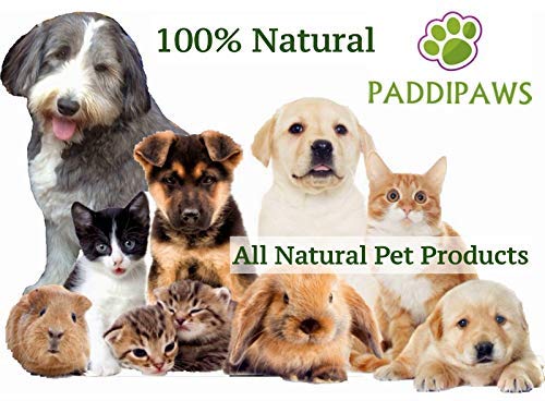 PADDIPAWS Dry Foam Dog Shampoo - 100% Natural - Lavender Fragrance - No Rinsing - Leave to Dry - Brush Out - PawsPlanet Australia