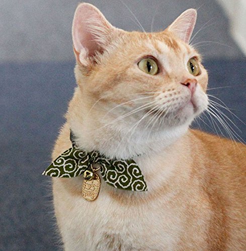 Necoichi Ninja Cat Collar (Green) Green - PawsPlanet Australia