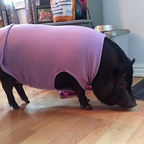 Gooby Stretch Fleece Vest Dog Sweater - Warm Pullover Fleece Dog Jacket - Winter Dog Clothes for Small Dogs Boy - Dog Sweaters for Small Dogs to Dog Sweaters for Large Dogs for Indoor and Outdoor Use Black 3X-Large Length (20.5") - PawsPlanet Australia