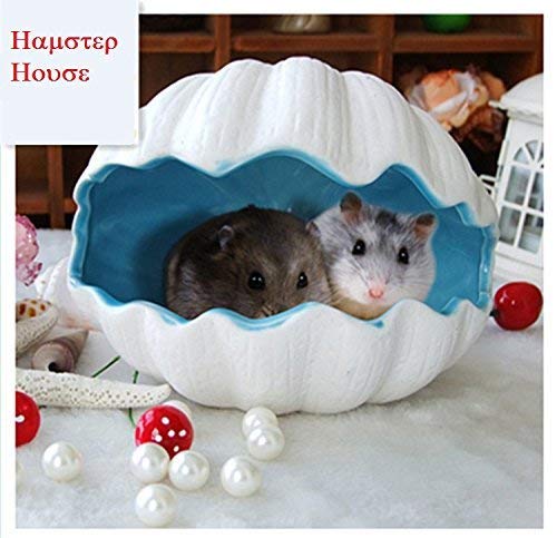 Laak Small Animal Pet House Adorable Shell Shape Ceramic Igloos Nest Hideout Critter Bath House Cave Mini Hut Cage for Chinchilla Hamster… Blue - PawsPlanet Australia