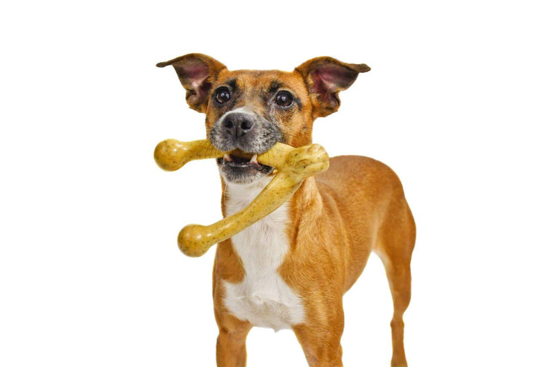 Pet Qwerks Wish BarkBone - For Aggressive Chewers| Made in USA Peanut Butter Small - PawsPlanet Australia