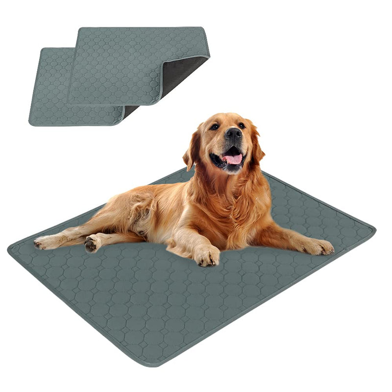 EASTLION Training pads for puppies, washable pet urine pad, quick-absorbing dog mat, reusable dog pad for puppies, for dogs, cats (70 x 50 cm, 2 pieces) M-grey M: (70 x 50 cm) gray - 2 pieces - PawsPlanet Australia