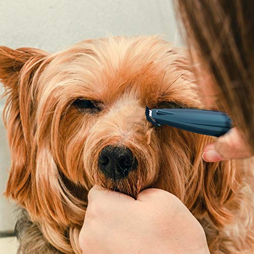 Pet Foot Hair Trimmer with Led Light, Electric Dog Grooming Clippers, Pet Hair Clippers Low Noise USB Rechargeable Shaving Tool for Pet Hair Around Face, Eyes, Ears, Rump, Paws - PawsPlanet Australia