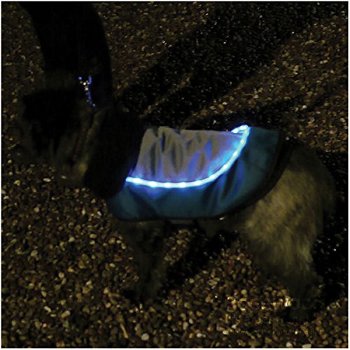 Rosewood Night Bright LED Dog Jacket, 12-inch - PawsPlanet Australia