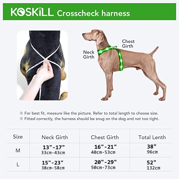 KOSKILL LED Dog Harness Rechargeable Illuminated Dog Harness Glows in the Dark LED Dog Vest Reflective Dog Lights for Night Walks Green M - PawsPlanet Australia