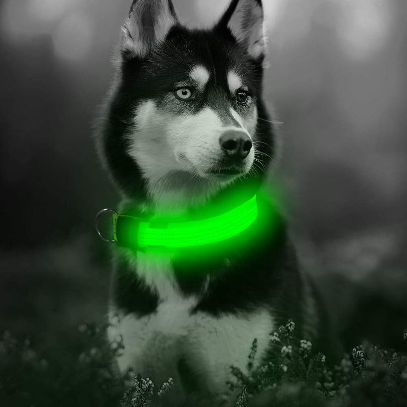 Illumifun LED Dog Collar, USB Rechargeable Nylon Webbing Adjustable Glowing Pet Safety Collar, Reflective Light Up Collars for Your Dogs Small Collar [15-18.9inch/38-48cm] Green3 - PawsPlanet Australia