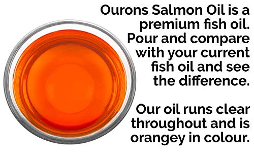 1 litre Pure Salmon Oil for Dogs Pure Fish Oil - PawsPlanet Australia