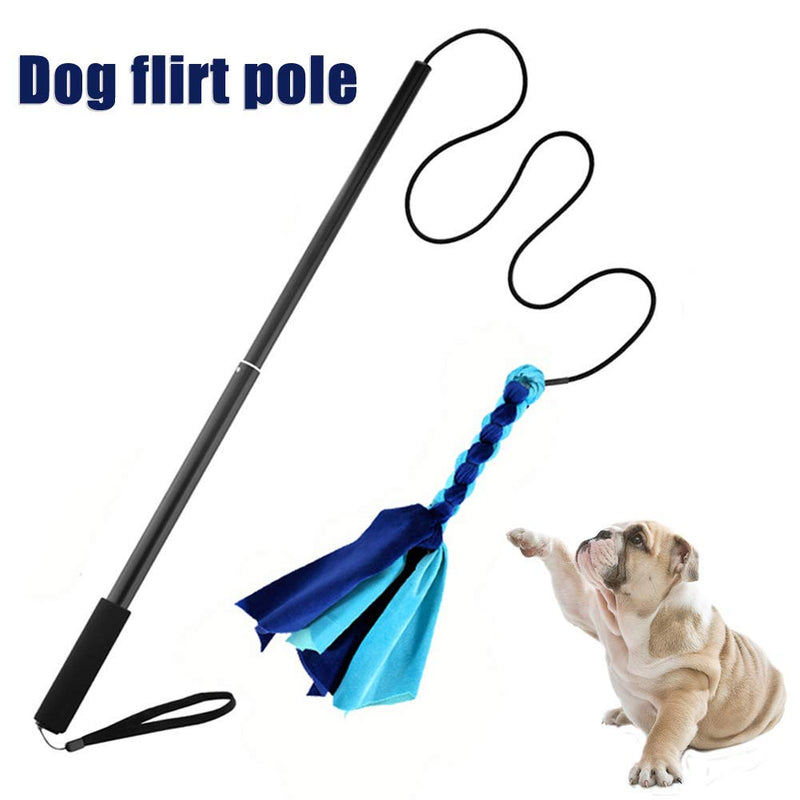 POHOVE Dog Flirt Pole Toy, Interactive Dog Tug Toy, Dog Outdoor Toy Extendable Teaser Wand Outside Interactive Fun Toys,For Dogs Of Any Size For Fun Obedience Training l blue - PawsPlanet Australia