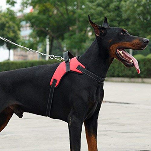 Pet Dog Harness No Pull Adjustable Pet Walking Harness Dog Body Vest Comfort Control for Dogs in Walking Training-Red-M-Chest 52-62cm Neck 49-56cm M - PawsPlanet Australia