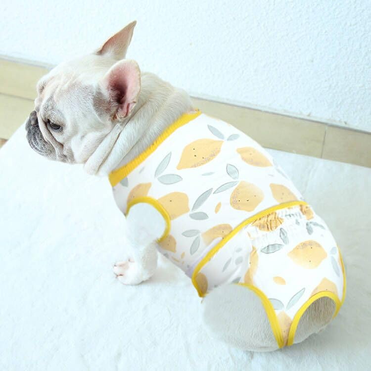 KONVINIT recovery suit for dogs, dog bodysuit after surgery castration, breathable wound protection for puppies dog suit after surgery male castration, alternative neck collar/surgical funnel, yellow L yellow - PawsPlanet Australia