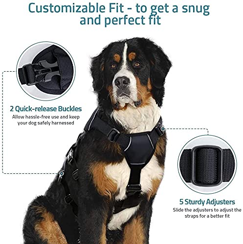 rabbitgoo Escape-Proof Dog Harness No-Pull Adjustable Working Pet Vest Dog Harness with Handle Dog Lift Support Harness for Small to Medium Large Dogs Outdoor Training Walking, L, Black - PawsPlanet Australia