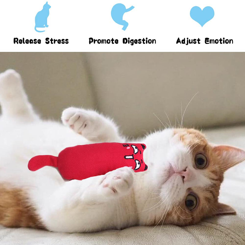 maxin 6 Pcs Catnip Toys for Indoor Cats Interactive Cat Chew Bite Supplies for Cat Kitty Kitten,Catnip Toy Cat Toys Set Teething Chew Toy - PawsPlanet Australia