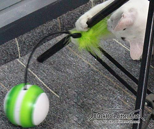 [Australia] - Blackhole Tumbler Cat Toy Interactive Feather Rolling 