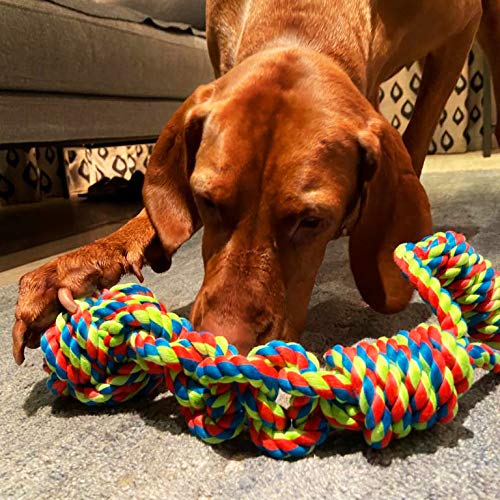 Petface Toyz Rope Ball Tugger Dog Toy - PawsPlanet Australia