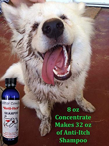 [Australia] - Natural Dog Shampoo for Dry Itchy Sensitive Skin- Allergy Relief formula. Dog Bath for Smelly Dogs. with Tea Tree Oil that Soothes Hot Spots & Conditions. 