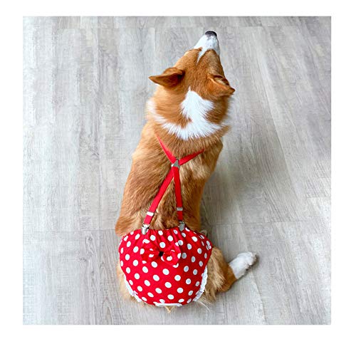 BT Bear Reusable Dog Nappies, Female Dog Nappies Pants Materials Durable Machine Washable Simple Solution For Pet Incontinence & Long Travels M: for waist 38cm～47cm Red Point - PawsPlanet Australia