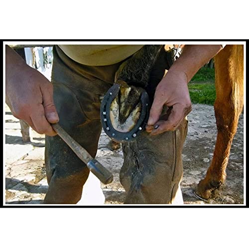 Aifeier ET Stainless Steel Horseshoe Nails Horse Hoof Nails Fix Lead and Glass Stop Blocks for Horse Racing Training Riding Equestrian Sporting, 20x1.77 Inch & 20x2 Inch - PawsPlanet Australia