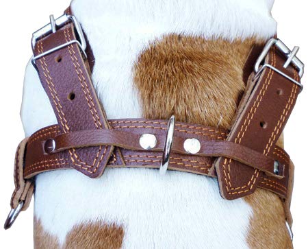 [Australia] - Genuine Brown Leather Dog Pulling Walking Harness XLarge. 33"-37" Chest 1.5" Wide Straps, Padded 