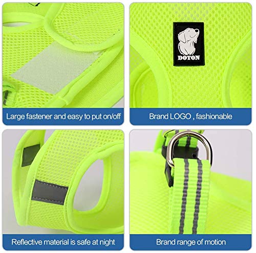 N / A Cat Harness and Leash, Reflective Escape Proof Kitten Harness Adjustable Breathable Mesh Padded Vest Harnesses For Pet Cat Outdoor Walking (M, Fruit Green) M: for chest 35-40cm - PawsPlanet Australia