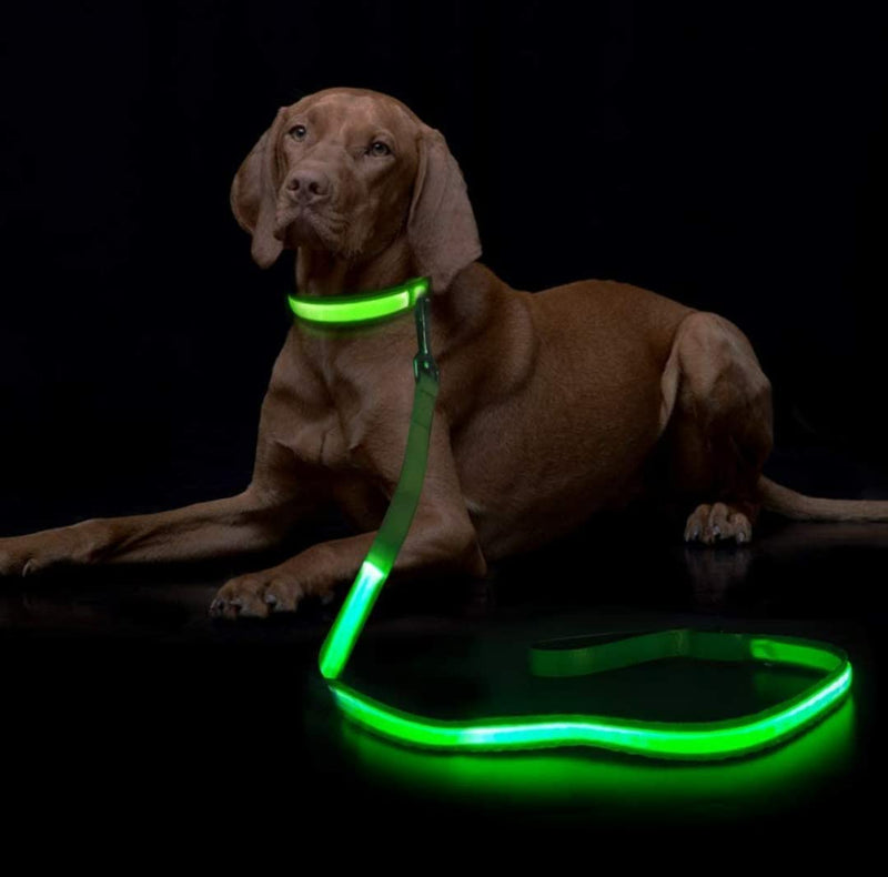 (Shared Products ) LED Dog Leash, Light Up Dog Leash, Micro USB Rechargeable, Waterproof, Nylon Webbing, Glow Safety Standard Dog Leash (Green with 2 Reflective Wires) - PawsPlanet Australia