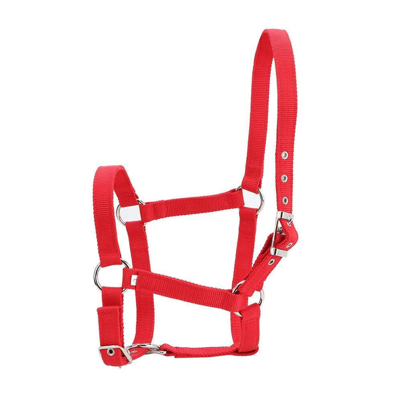 YOUTHINK Horse Halter High Density 6mm Thickened Webbing Horse Bridle Control Halter Riding Accessories Red Color - PawsPlanet Australia