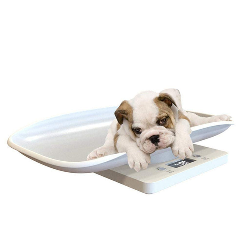 Hamkaw Digital Pet Weight Scale with LCD Electronic Scales For Measuring Baby, Small Dog, Cat, Dog (Capacity up to 10 kg /22 lb) White - PawsPlanet Australia