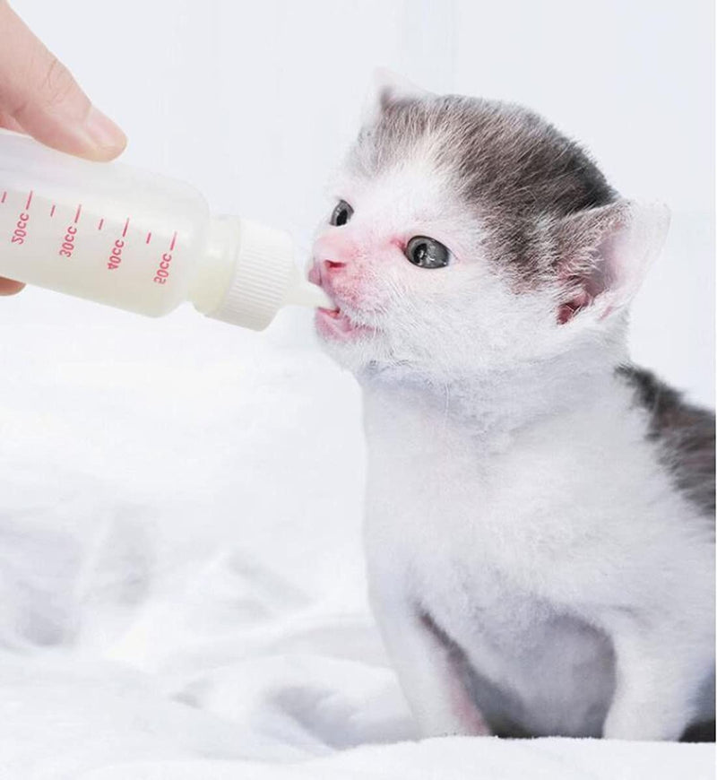 DoubleWood Pet Nursing Bottle Kits Nursing Bottle Kits Replacement Nipple Cat Feeding Bottle for Newborn Kittens, Puppies, Rabbits, Small Animals - PawsPlanet Australia