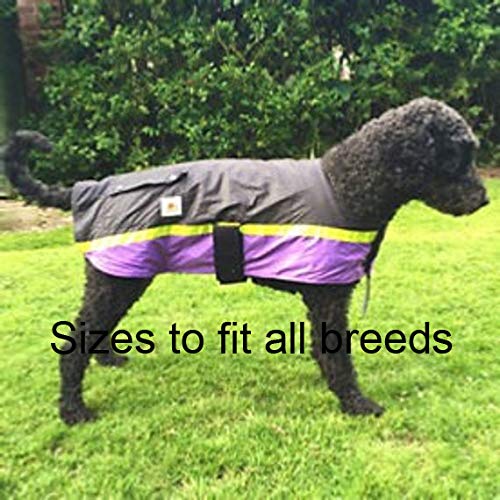 Safe to Shake Waterproof Dog Coat | Lightweight | Warm | Reflective Strip | SightHound | Greyhound | Whippet XS - PawsPlanet Australia